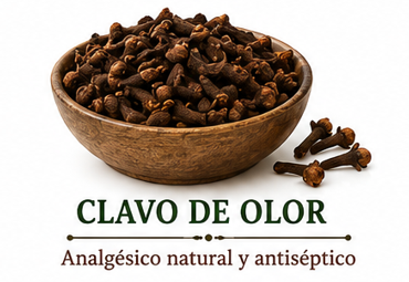 Clavo