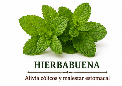 Hierbabuena