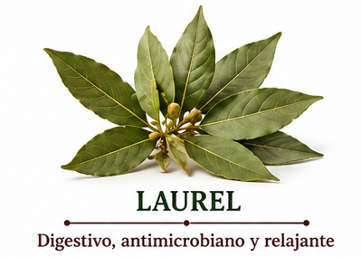 Laurel